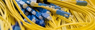 expand-fiber-button
