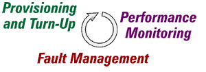 Life Cycle