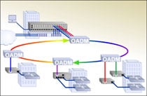 Metro Access Ring Topology