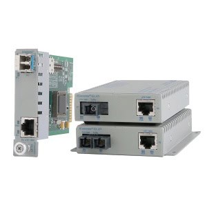 542390225756f78888142d54f3d17e01 XL