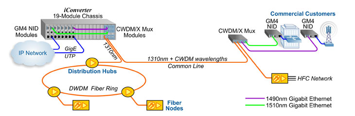 CWDM HFC