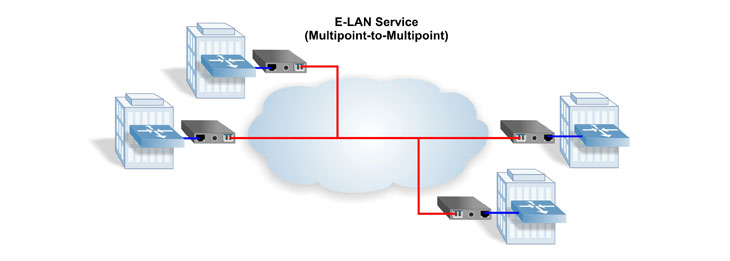 E-Line Service