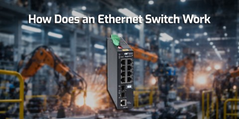How Does an Ethernet Switch Work: A Complete Guide for Beginners and Professionals