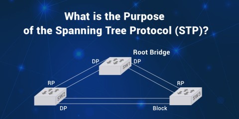 What is the Purpose of the Spanning Tree Protocol (STP)?