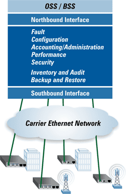 EMS-Graphic